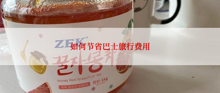 如何节省巴士旅行费用