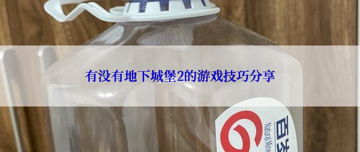 有没有地下城堡2的游戏技巧分享