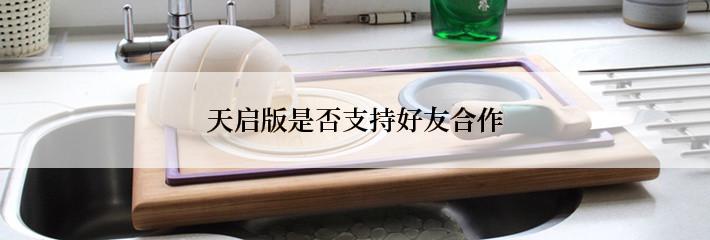 天启版是否支持好友合作