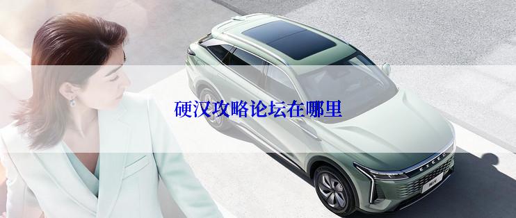 硬汉攻略论坛在哪里