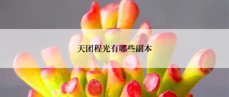 天团程光有哪些副本