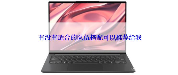  有没有适合的队伍搭配可以推荐给我