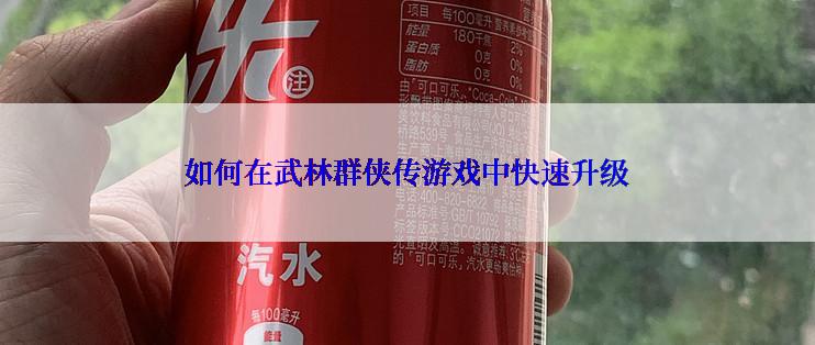 如何在武林群侠传游戏中快速升级