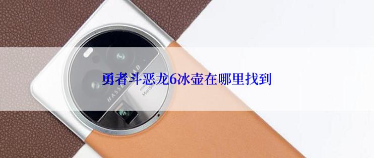 勇者斗恶龙6冰壶在哪里找到