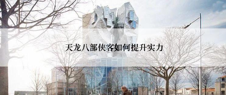  天龙八部侠客如何提升实力