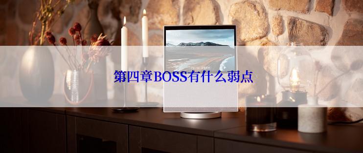  第四章BOSS有什么弱点