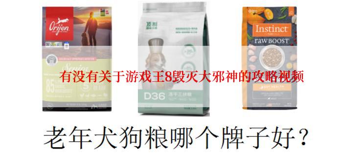有没有关于游戏王8毁灭大邪神的攻略视频