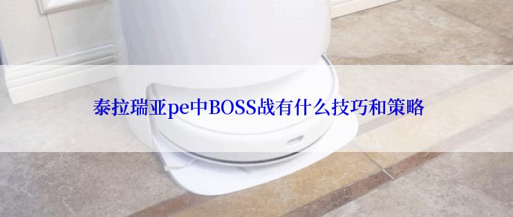  泰拉瑞亚pe中BOSS战有什么技巧和策略