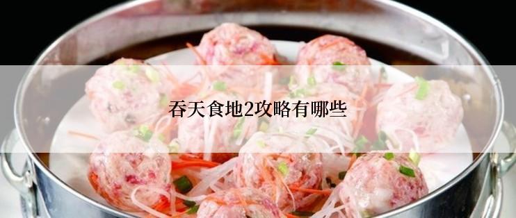 吞天食地2攻略有哪些