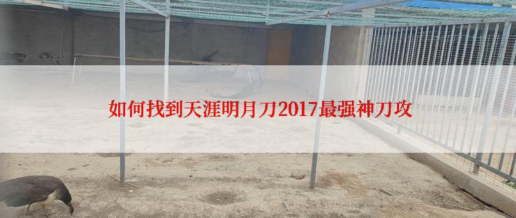  如何找到天涯明月刀2017最强神刀攻
