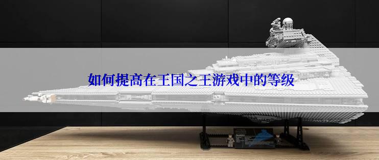  如何提高在王国之王游戏中的等级
