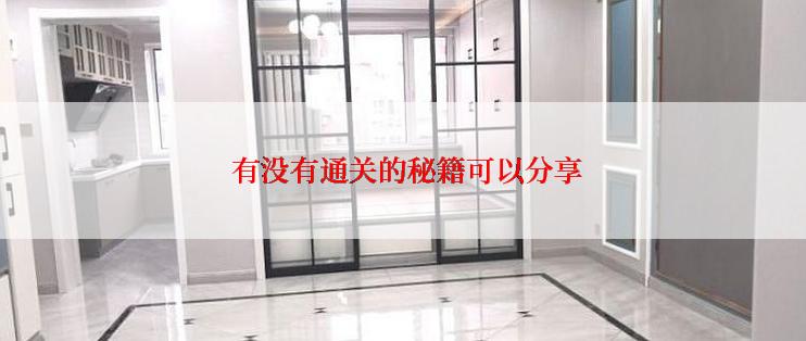  有没有通关的秘籍可以分享