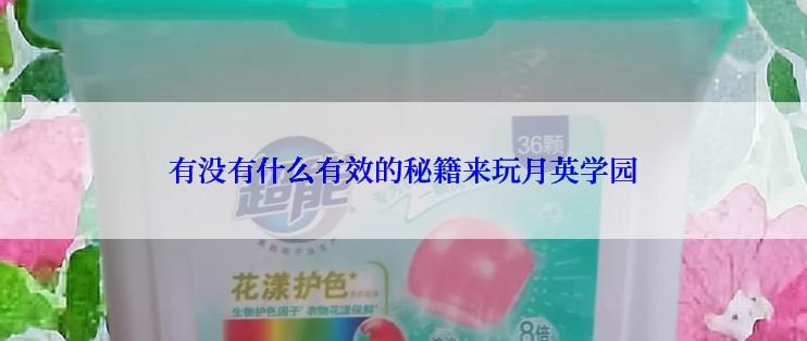 有没有什么有效的秘籍来玩月英学园