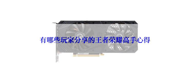 有哪些玩家分享的王者荣耀高手心得