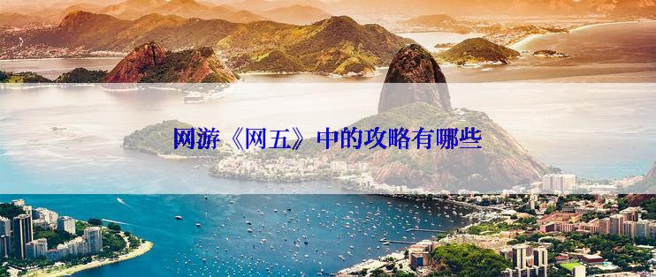 网游《网五》中的攻略有哪些