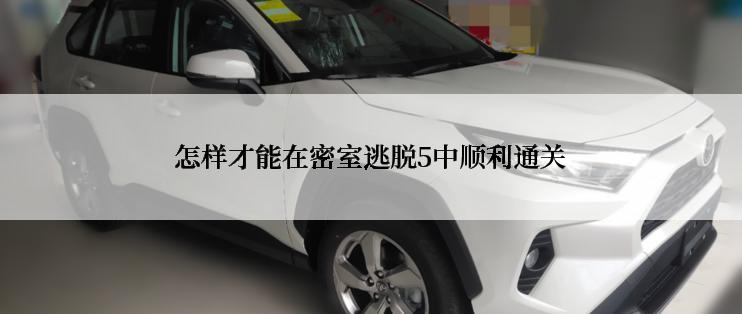 怎样才能在密室逃脱5中顺利通关