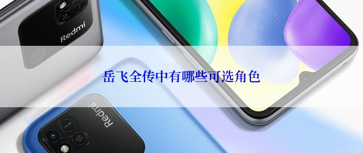 岳飞全传中有哪些可选角色