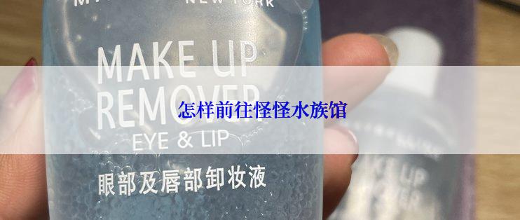  怎样前往怪怪水族馆