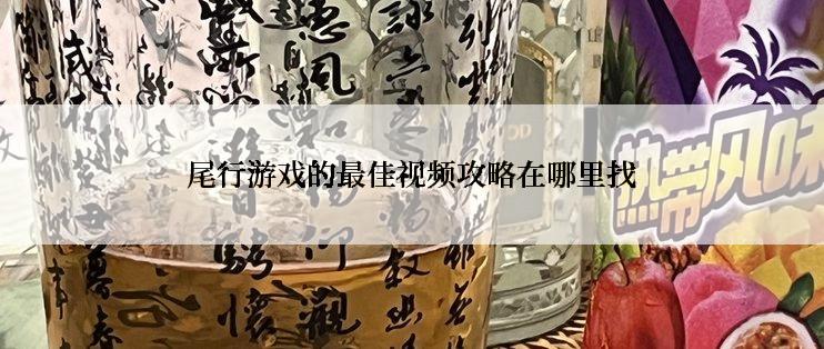 尾行游戏的最佳视频攻略在哪里找