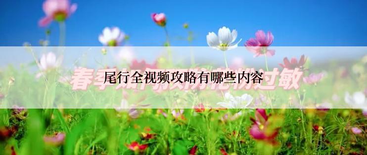 尾行全视频攻略有哪些内容