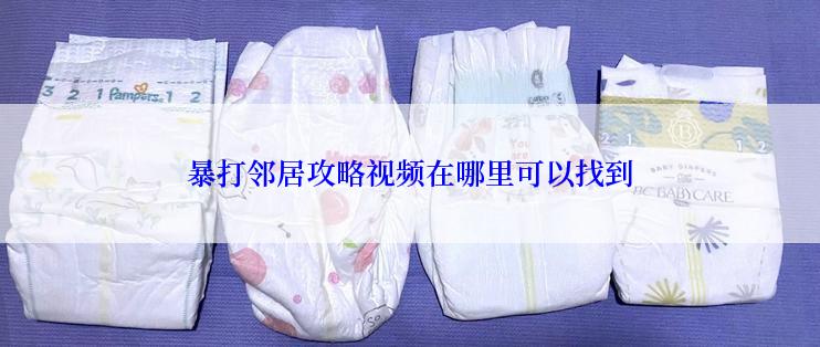 暴打邻居攻略视频在哪里可以找到