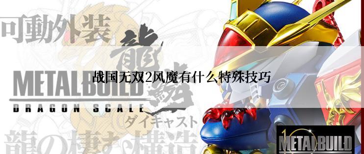 战国无双2风魔有什么特殊技巧