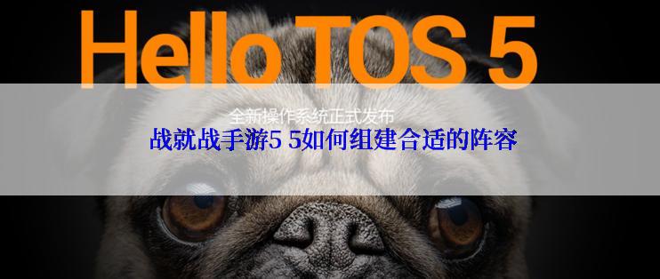  战就战手游5 5如何组建合适的阵容