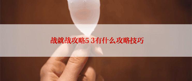 战就战攻略5 3有什么攻略技巧