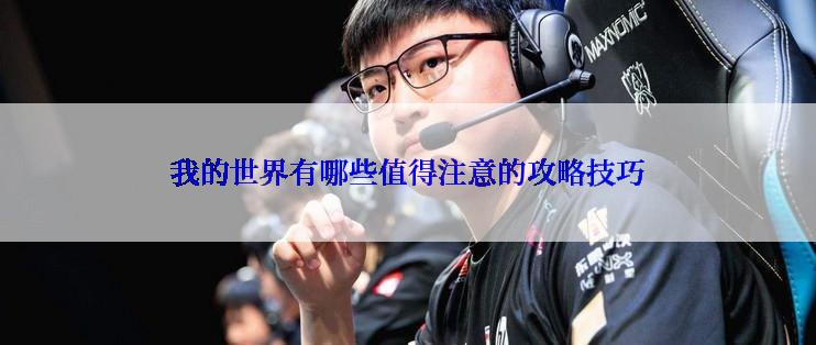 我的世界有哪些值得注意的攻略技巧