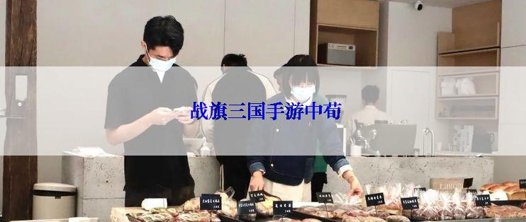  战旗三国手游中荀