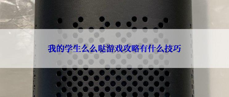 我的学生么么哒游戏攻略有什么技巧