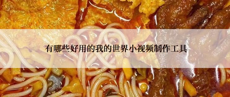  有哪些好用的我的世界小视频制作工具