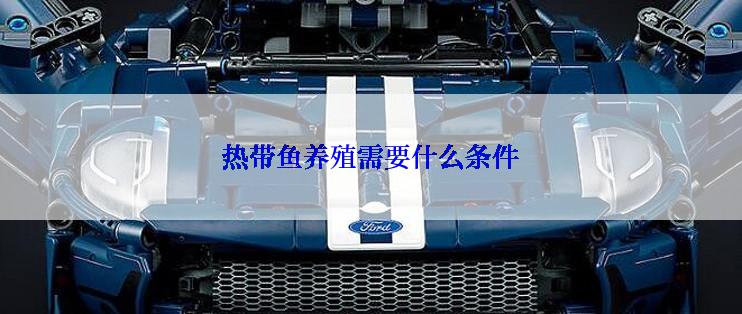 热带鱼养殖需要什么条件