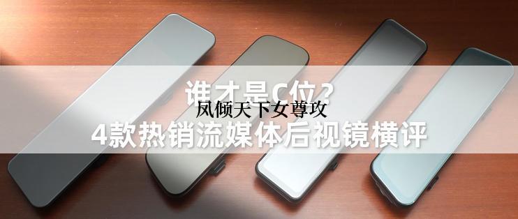  凤倾天下女尊攻