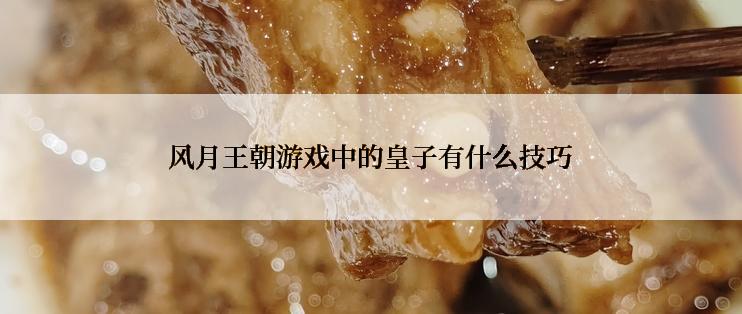 风月王朝游戏中的皇子有什么技巧