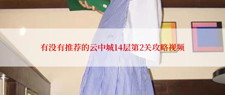 有没有推荐的云中城14层第2关攻略视频