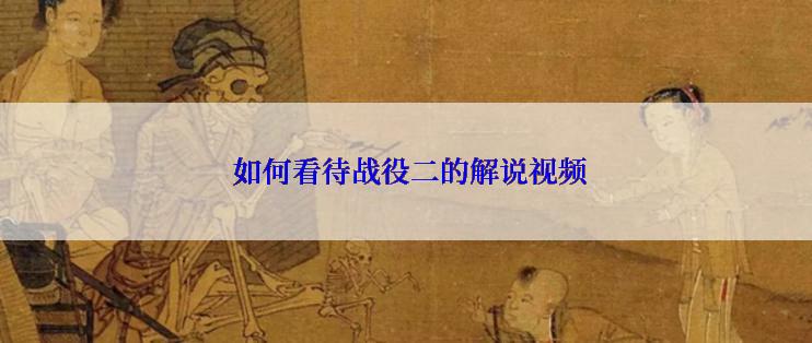  如何看待战役二的解说视频