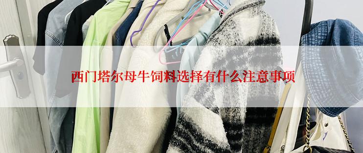 西门塔尔母牛饲料选择有什么注意事项