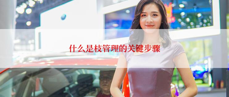 什么是枝管理的关键步骤