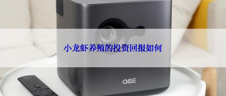 小龙虾养殖的投资回报如何
