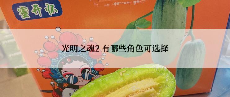 光明之魂2 有哪些角色可选择