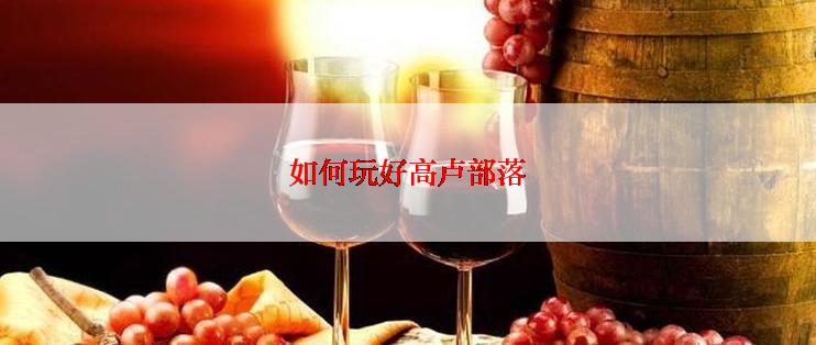 如何玩好高卢部落