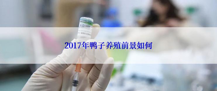 2017年鸭子养殖前景如何