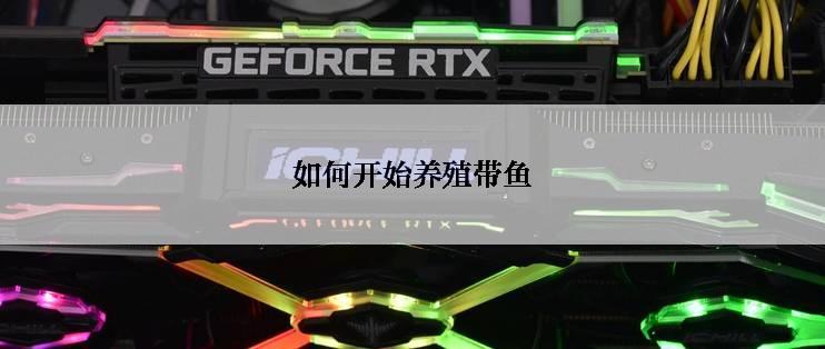 如何开始养殖带鱼