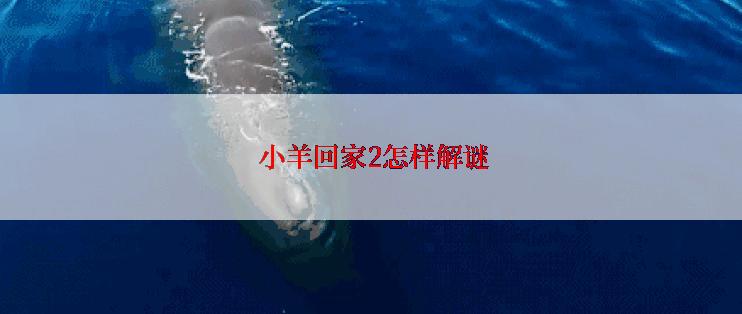  小羊回家2怎样解谜