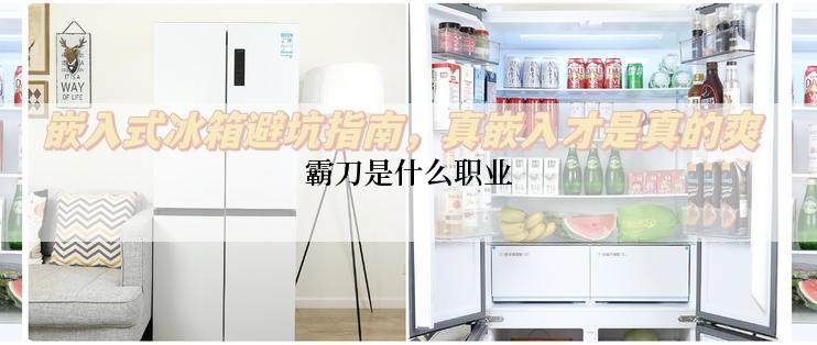 霸刀是什么职业
