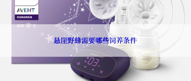 悬崖野蜂需要哪些饲养条件