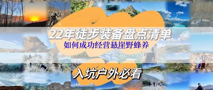 如何成功经营悬崖野蜂养