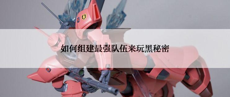 如何组建最强队伍来玩黑秘密