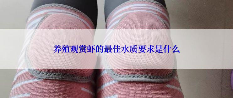 养殖观赏虾的最佳水质要求是什么